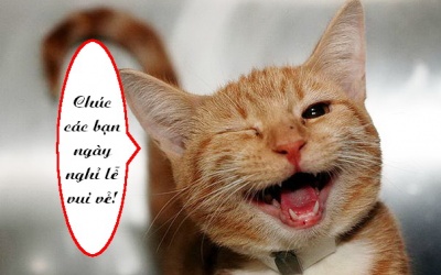 Ảnh vui: Đến động vật cũng cười 'phê' mừng ngày nghỉ lễ