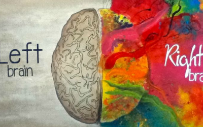 Bạn thiên về bán cầu não trái hay phải?