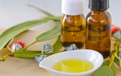 7 lợi ích tuyệt vời của tinh dầu bạch đàn