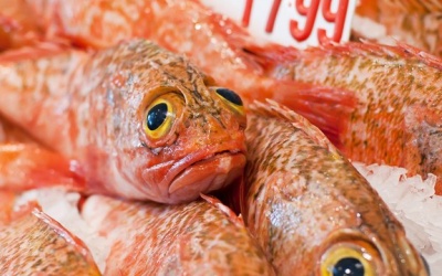 Điều gì xảy ra khi ăn phải thuỷ hải sản nhiễm độc?