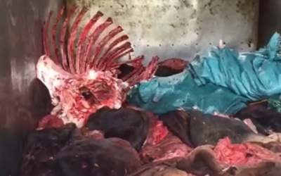 Hà Nội lại phát hiện hàng loạt vụ vận chuyển thực phẩm bẩn 