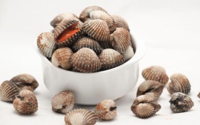 Những thực phẩm chứa chất độc bạn cần phải biết