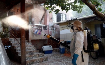 Brazil ghi nhận 91.000 ca nhiễm mới virus Zika