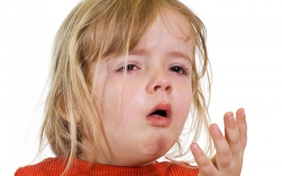 6 loại thảo dược trị ho hiệu quả