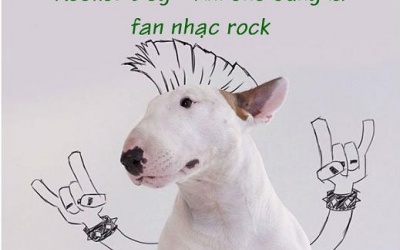 Loạt ảnh vui: Chó cưng 'thắp sáng' ý tưởng vẽ vời của cậu chủ