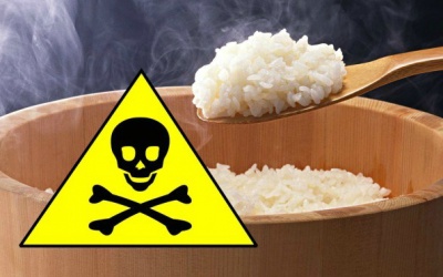 Bạn đã biết cách nhận biết gạo giả gạo thật?