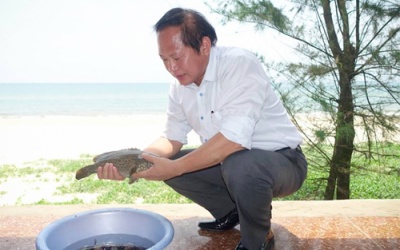 Không tẩy chay các loại cá, hải sản có nguồn gốc rõ ràng