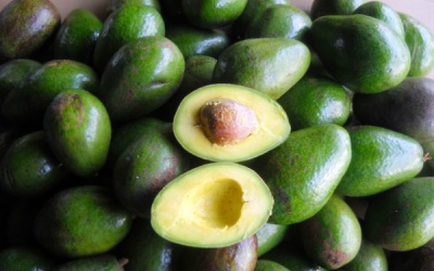 Kinh nghiệm chọn bơ sáp của người Đăk Lăk