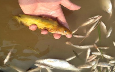 Kiểm tra toàn bộ nguồn thải ven biển và cửa sông