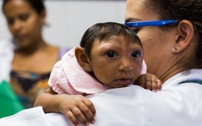 Thai phụ nhiễm virus Zika dễ sảy thai, thai chết lưu