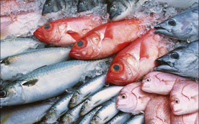 Cá biển chết với cá biển đông lạnh - phân biệt bằng mắt thường là thấy