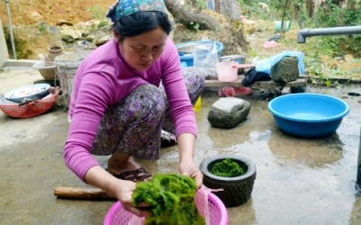 Kỳ bí ngôi làng trường thọ nhờ ăn rêu đá