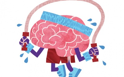 Ngu người vì không chịu cho não tập thể dục