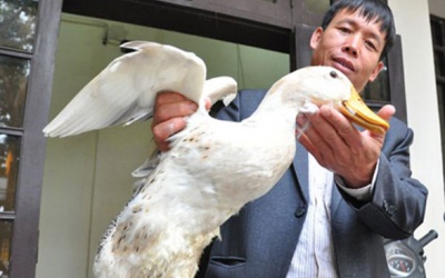 Ông Đoàn Văn Vươn ra mắt thương hiệu nông sản sạch