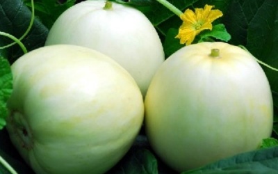 Bí quyết rửa dưa lê loại bỏ hết thuốc trừ sâu