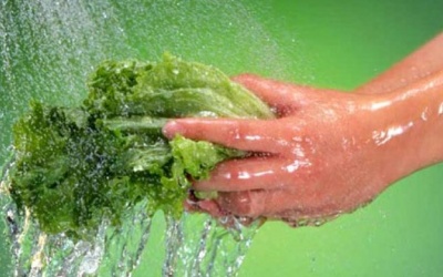 Loại nước “bí mật” để ngâm rau quả hết thuốc trừ sâu