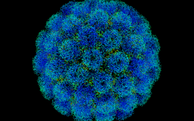 Virus gây bại liệt lại chữa được ung thư?