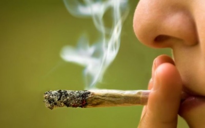 5 lý do để bạn nói không với cần sa dù chỉ 1 lần