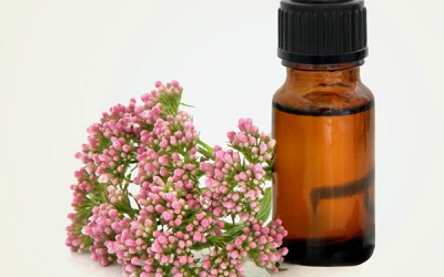 Sự thật ít biết về tinh dầu nữ lang