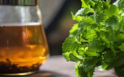 5 lợi ích đầy bất ngờ của tía tô đất