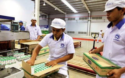 Sữa Việt 'đánh chiếm' thị trường Campuchia