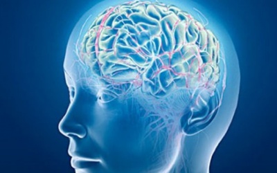 4 thực phẩm giúp tăng dopamine trong não cho bệnh nhân Parkinson