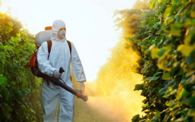 Nguy cơ đái tháo đường do tiếp xúc với thuốc trừ sâu