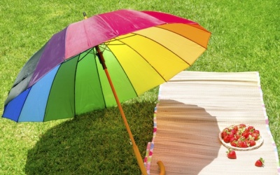 Muốn chống nắng? Hãy bắt đầu từ bên trong