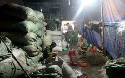 Phạt cơ sở sản xuất trà mất vệ sinh 36,3 triệu đồng