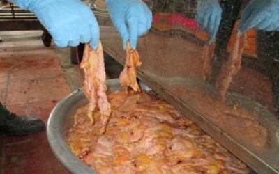 Thực phẩm bẩn: Đâu là giới hạn cuối cùng?