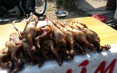 Chim cút thải loại đội lốt chim rừng bán ở vỉa hè