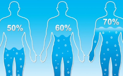 Mỗi ngày uống bao nhiêu nước là đủ