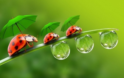 Tử vi 12 cung hoàng đạo thứ sáu (17/6/2016)