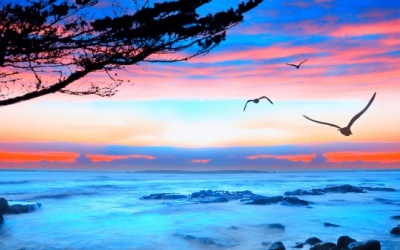 Tử vi 12 cung hoàng đạo thứ bảy (18/6/2016)