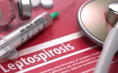 6 triệu chứng của bệnh do xoắn khuẩn leptospira không nên bỏ qua