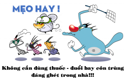 Mẹo hay cuộc sống: Cách đuổi chuột, muỗi, kiến và gián không dùng thuốc, an toàn cho nhà bạn!