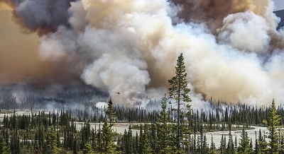 Những hình ảnh ấn tượng “kể” về môi trường thế giới