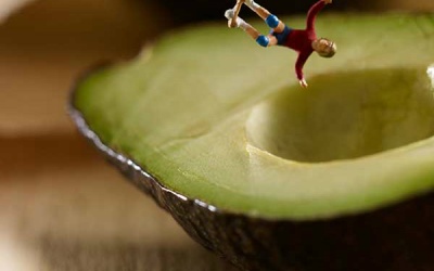 Đừng tưởng ai cũng ăn được quả bơ