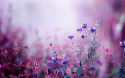 Tử vi 12 cung hoàng đạo Chủ nhật (3/7/2016)