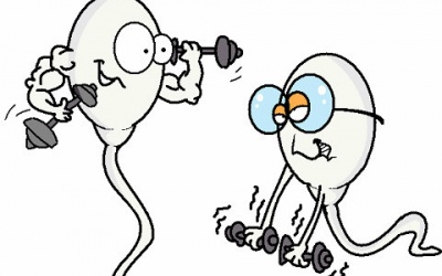 Làm sao để cải thiện 'con giống'? 