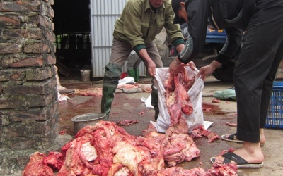 Phát hiện 1,4 tấn da, xương trâu bò không chứng nhận thú y