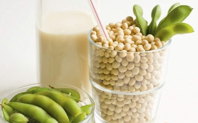 Uống sữa đậu nành thường xuyên có bị dậy thì sớm?