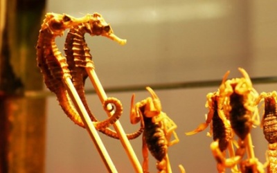 Cận cảnh món cá ngựa chiên tăng sinh lực siêu đắt đỏ