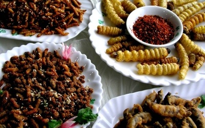 Cảnh giác khi ăn côn trùng