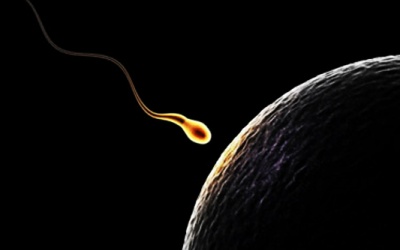 Khó lên chức bà nội vì sai lầm khi mang thai