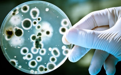 Đột phá lĩnh vực y dược với ứng dụng công nghệ nano 