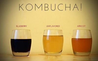 Trà Kombucha chứa gì mà được nhiều người săn lùng đến thế?