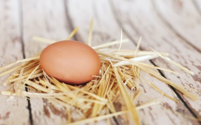 Bổ sung collagen từ nguồn thực phẩm rẻ không ngờ