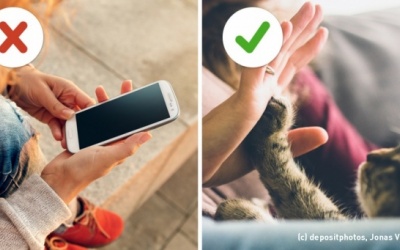 Đặt điện thoại xuống, bạn sẽ cảm nhận được những điều này!