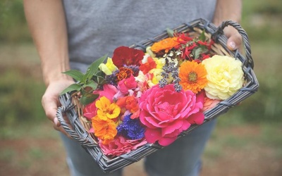 Lợi ích sức khoẻ của các loài hoa